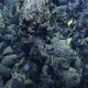 Illustration for article titled The Deepest Volcanic Eruption Ever Documented Left a Gnarly Sight on the Ocean Floor